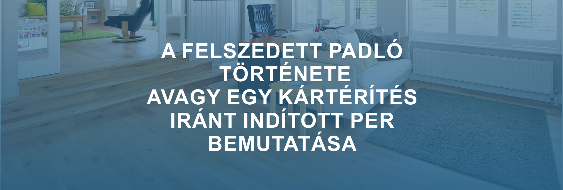 kártérítés iránt indított per bemutatása
