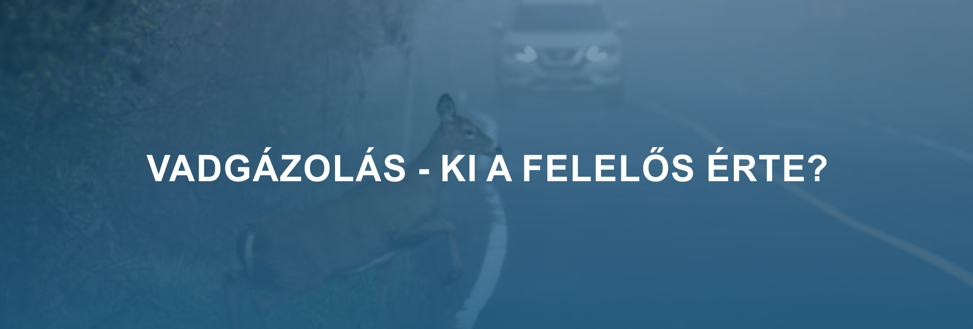 Vadgázolás felelősség