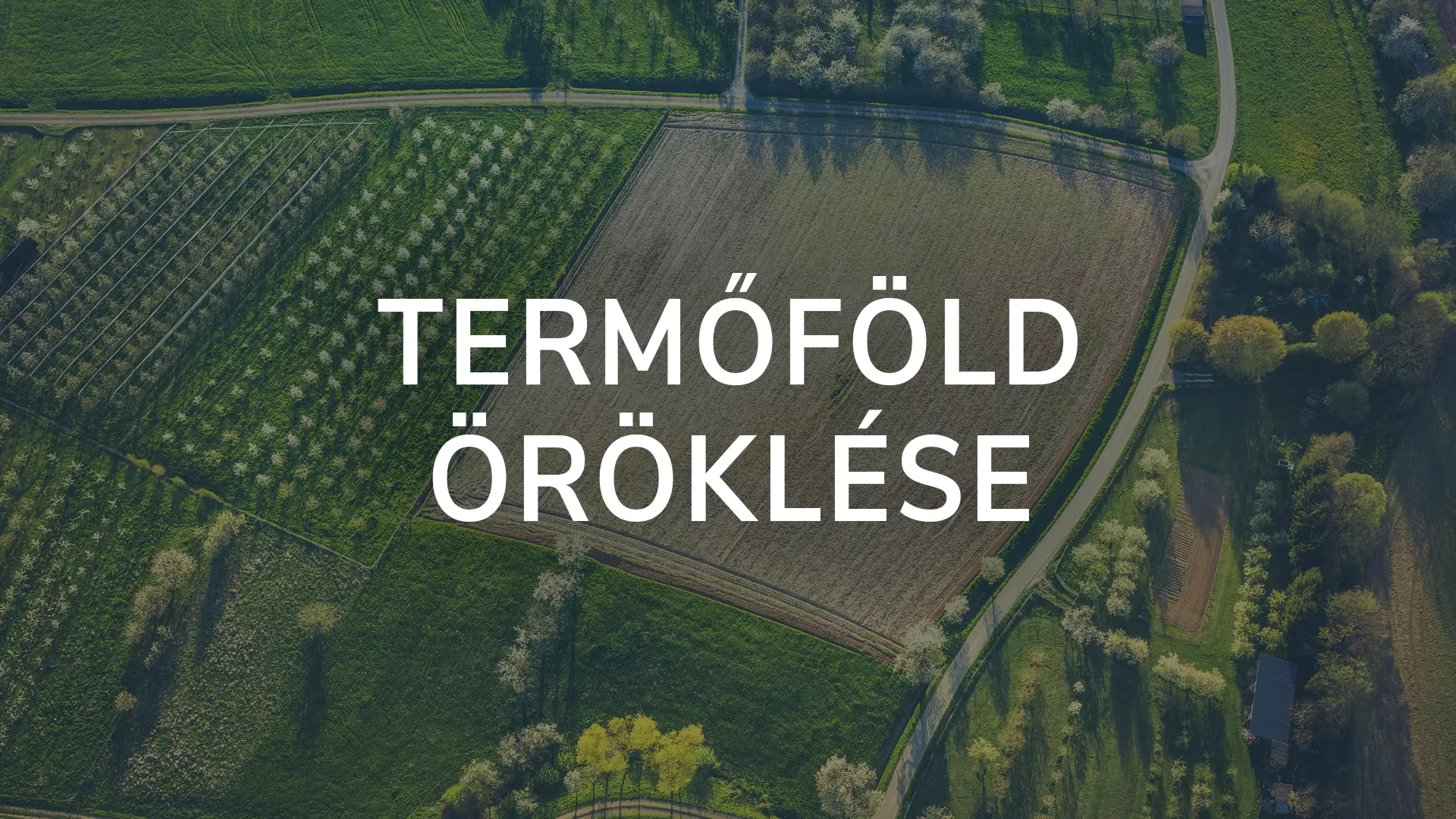 Termőföld öröklése, termőföld öröklésének szabályai
