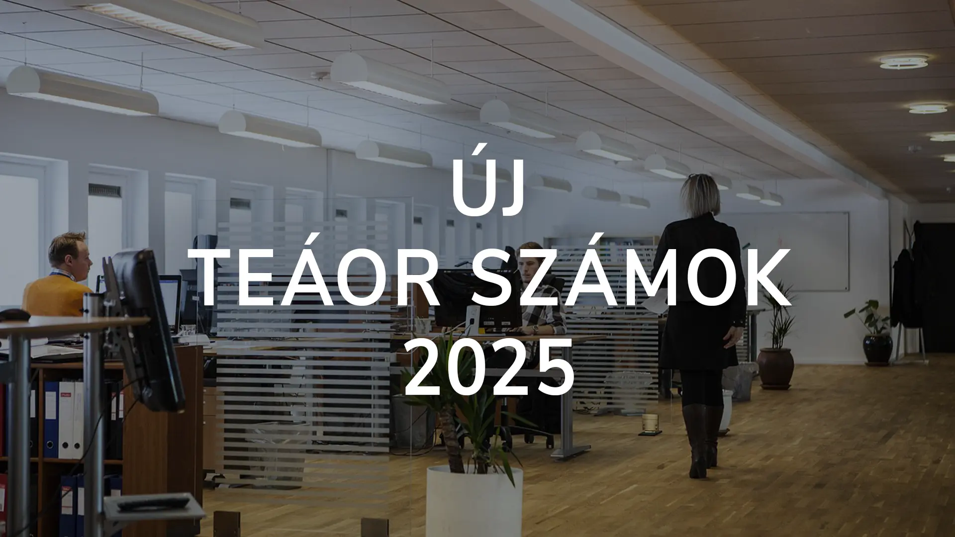 Új Teáor Számok 2025, tevékenységi körök jelentése