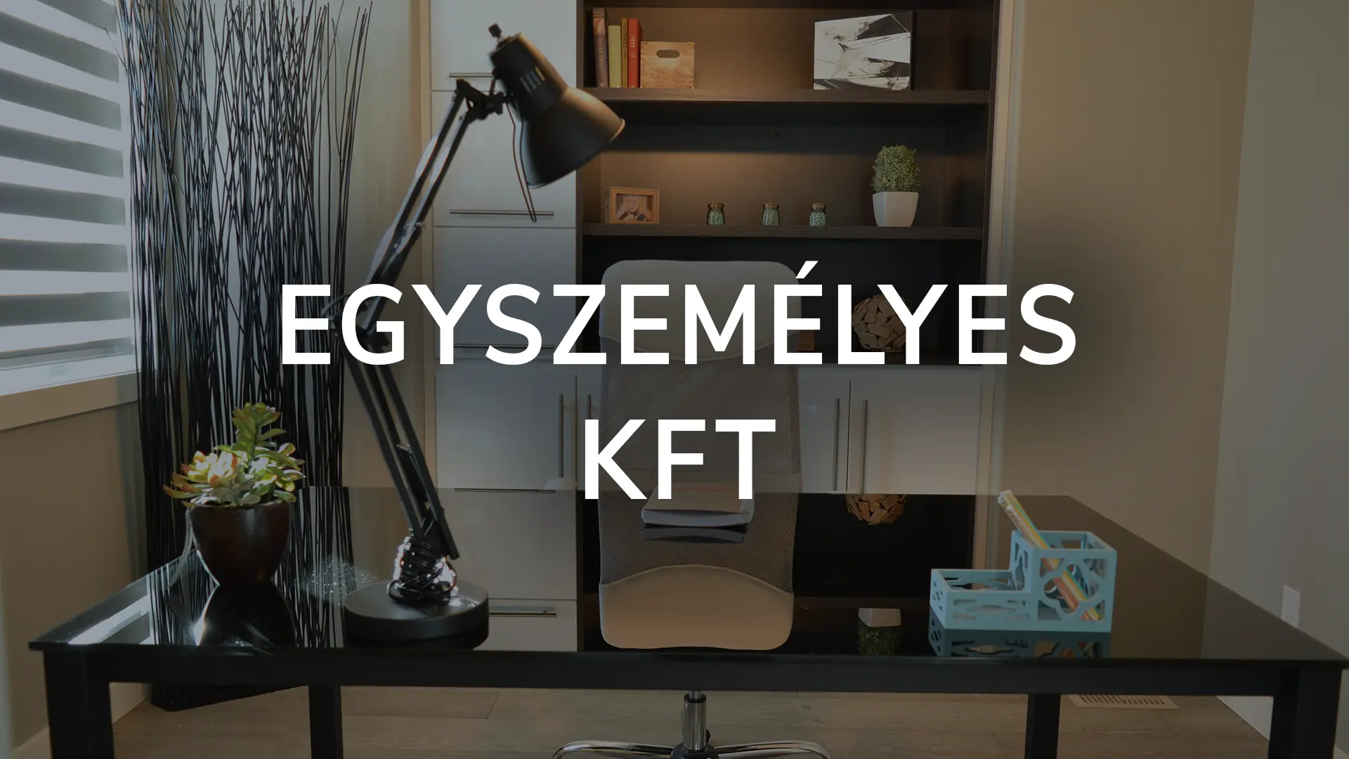 Egyszemélyes kft tagjának felelőssége, cégalapítás kérdése