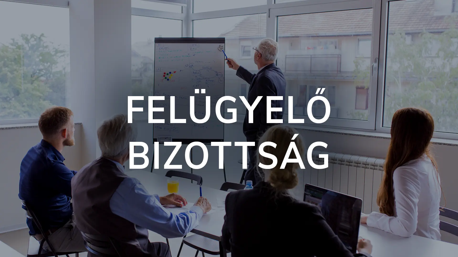 Felügyelőbizottság, a felügyelő bizottság tagok és jogszabályok