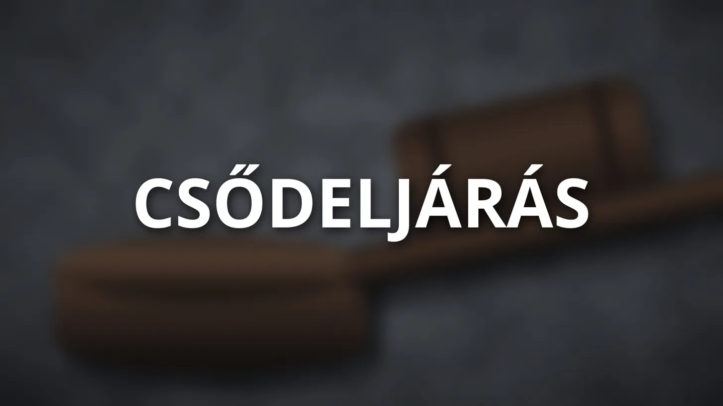 Csődeljárás és felszámolási eljárás: Kézikönyv cégeknek